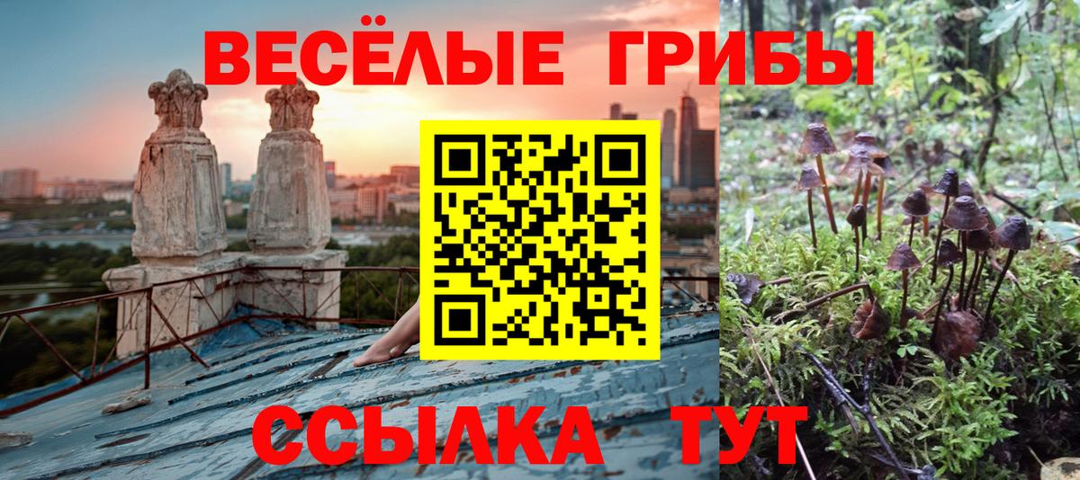 Новоуральск  Галлюциногенные грибы MAGIC MUSHROOMS  Вход с VPN 