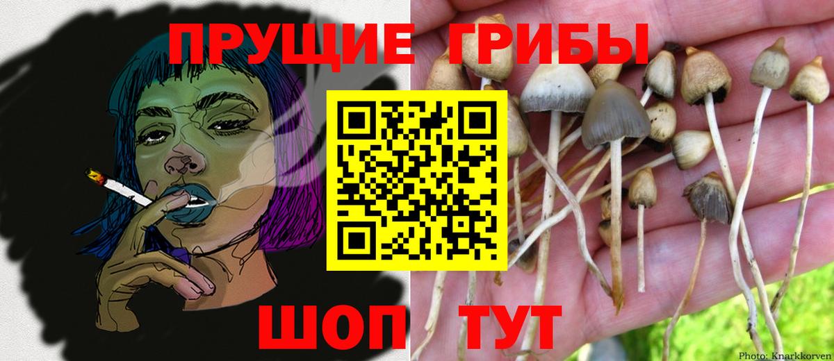 Галлюциногенные грибы Cubensis Новоуральск